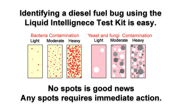 Microbial Field Test Kit Results Liquid Intelligence Diesel Biocide