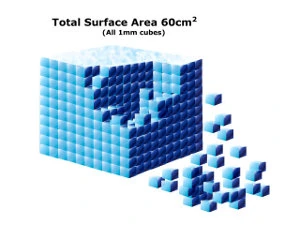 Diagram of the same block cut into 1 mm cubes, with a total surface area of 60 cm²