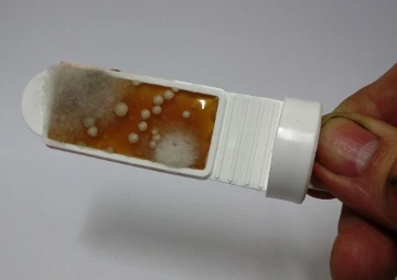 A dip slide with grey, furry patches of mould