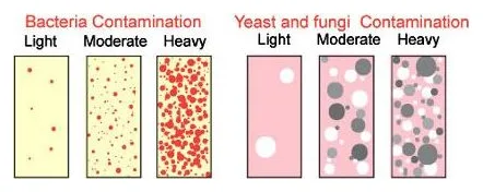 The comparison chart: light, moderate and heavy bacteria contamination, and light, moderate and heavy yeast and fungi contamination