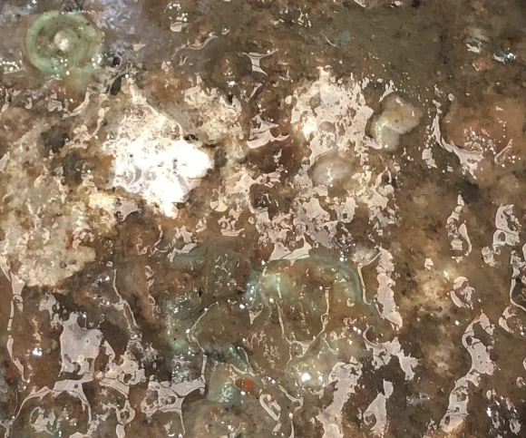 A thick, slimy brown and white biofilm of bacteria coating the inside of a hydraulic oil tank