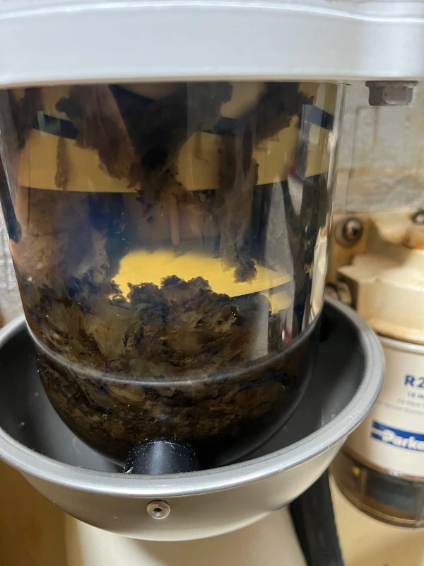 A fuel filter bowl full of dark diesel bug sludge