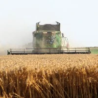 A combine harvester working a wheat crop