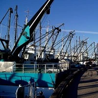 Fishing boats at a wharf with their lifting booms raised