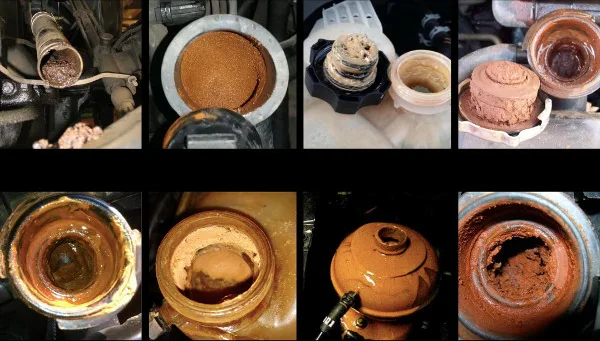 Eight photos of thick brown oil and water sludge in radiator necks, caps and coolant tanks