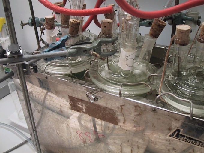 The corrosion test under way: glass test vessels with condensers in a heated laboratory bath