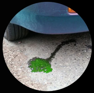 Green coolant dripping onto the ground under a car