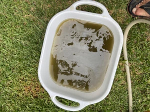 Water from a later Part B flush: murky