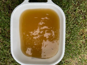 A later flush: amber
