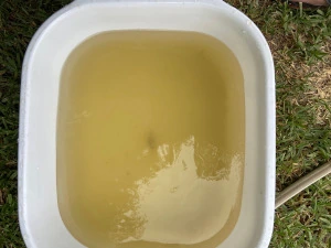 Further on: pale yellow