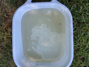 One of the last Part B flushes: nearly clear