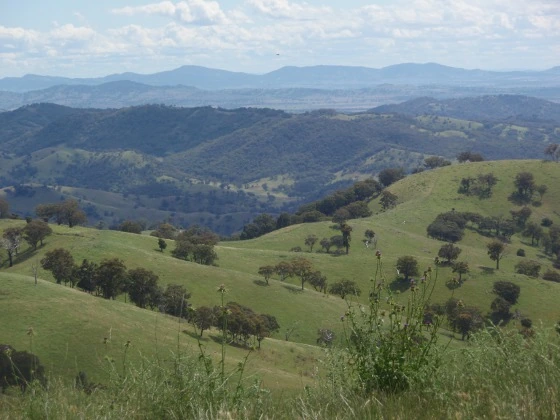 The hill country between Bathurst and Hill End