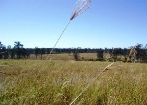 Seeding grass on the property at Maryborough